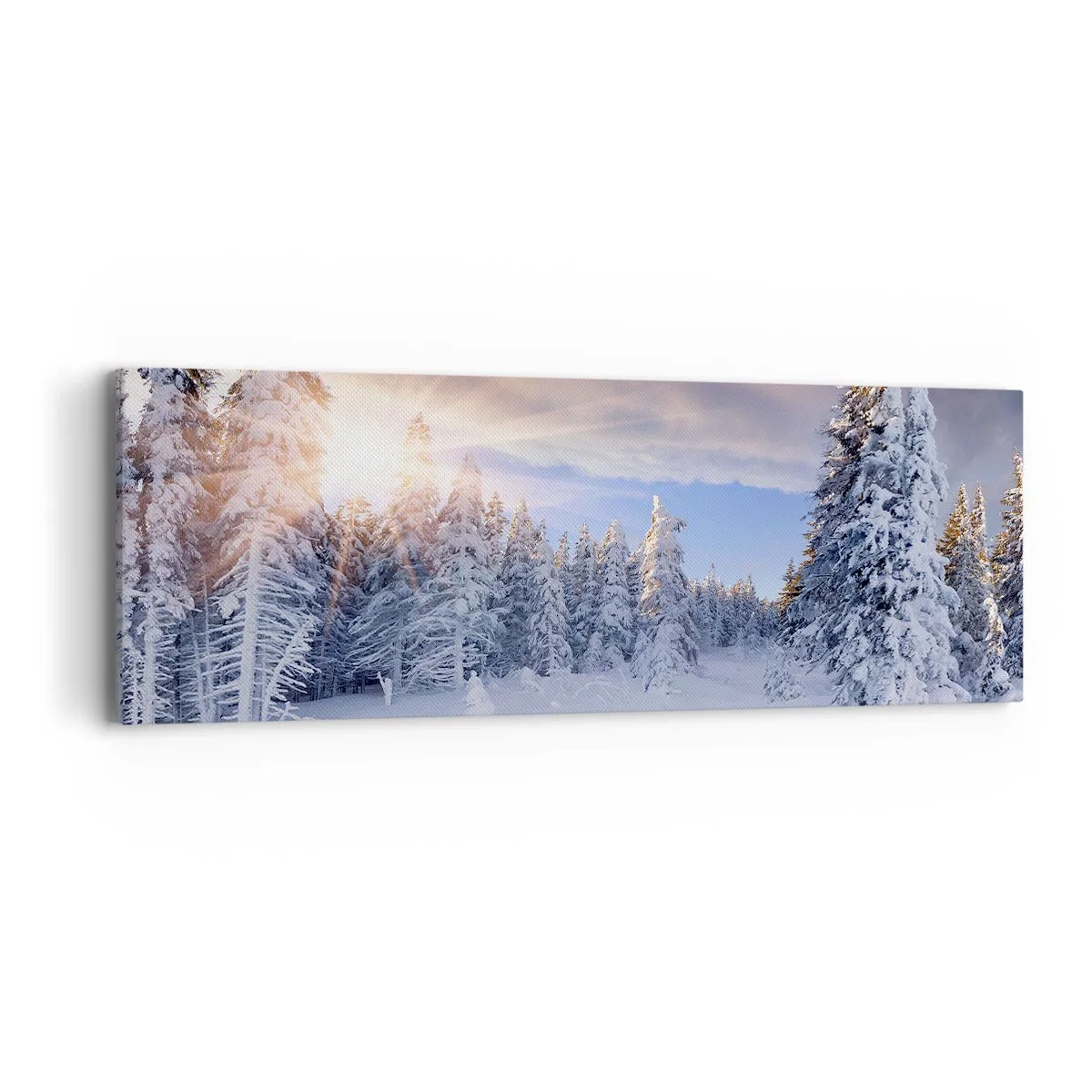 Impression sur toile - Image sur toile - Un spectacle enneigé de la nature - 90x30 cm