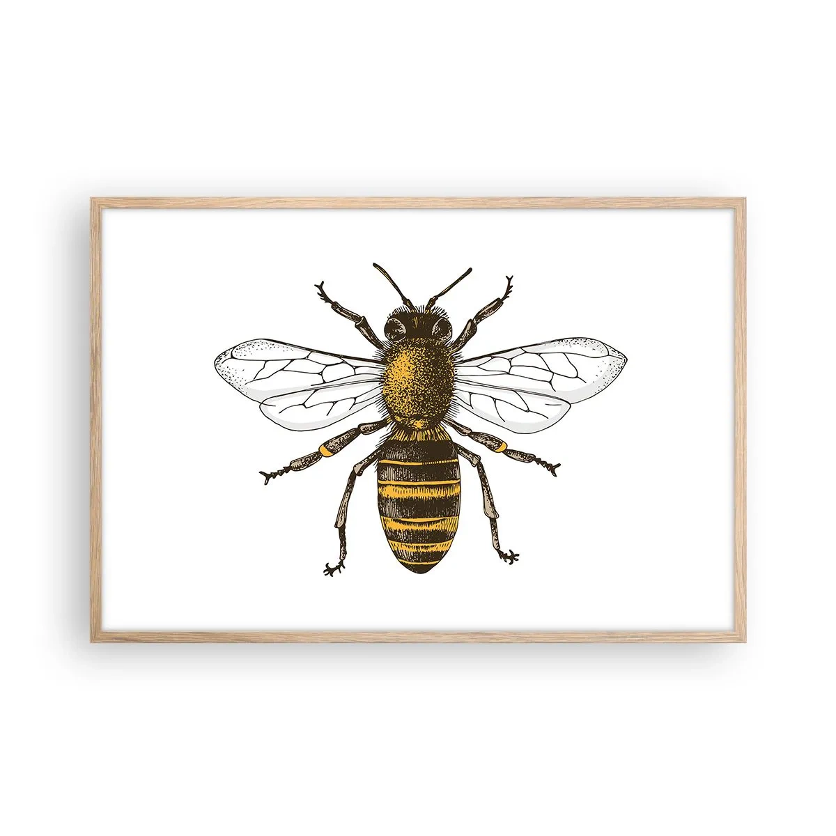 Affiche dans un chêne clair - Poster - Belle et bonne - 91x61 cm