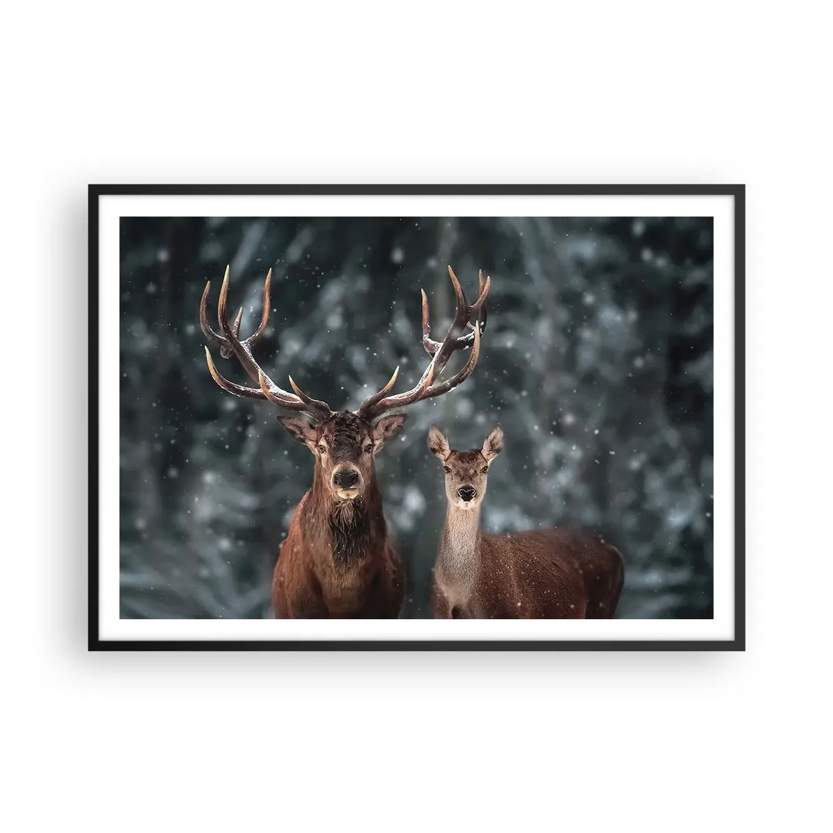 Affiche dans un cadre noir - Poster - Cerf dans une forêt d'hiver enneigée - 100x70cm - Le roi de la forêt avec sa femme - Décoration murale moderne pour le salon et la chambre ARTTOR