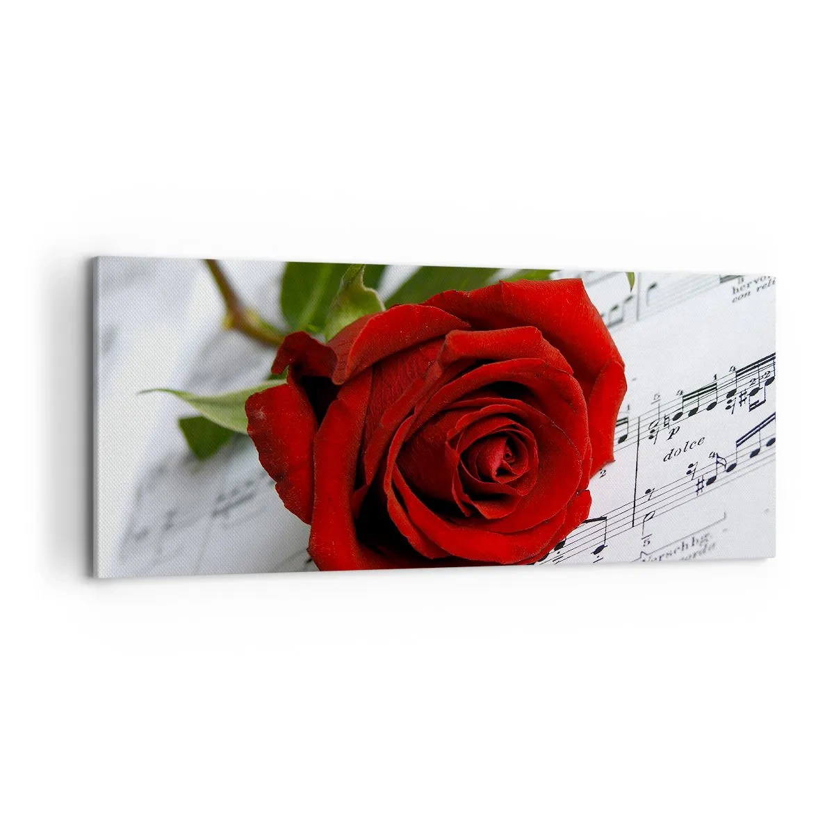 Impression sur toile - Image sur toile - Musique des sentiments en écarlate - 100x40 cm