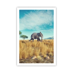 Affiche - Poster - Le gris n'est déjà plus à la mode - 61x91 cm