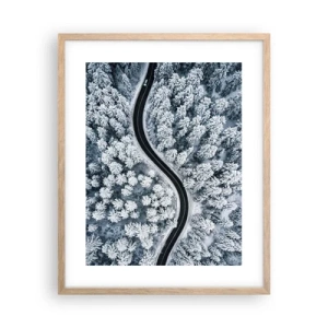 Affiche dans un chêne clair - Poster - À travers une forêt d'hiver - 40x50 cm