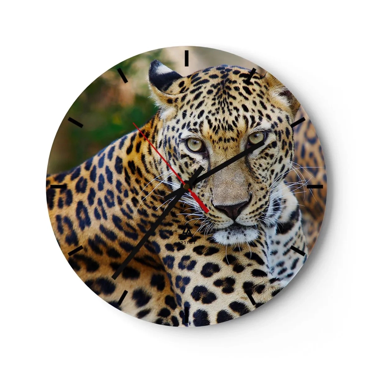 Horloge murale - Pendule murale - Sauvage et calme - 40x40 cm