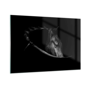 Impression sur verre - Image sur verre - Profil d'un cheval noir dans l'ombre avec un œil visible - 100x70cm - Prince Noir - Décoration murale moderne pour le salon et la chambre ARTTOR