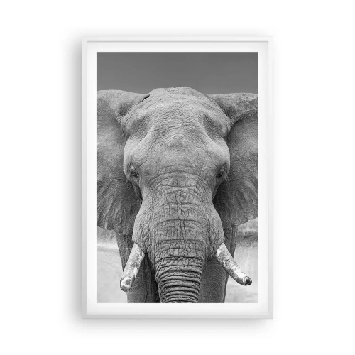 Affiche dans un cadre blanc - Poster - Bienvenue dans mon monde - 61x91 cm