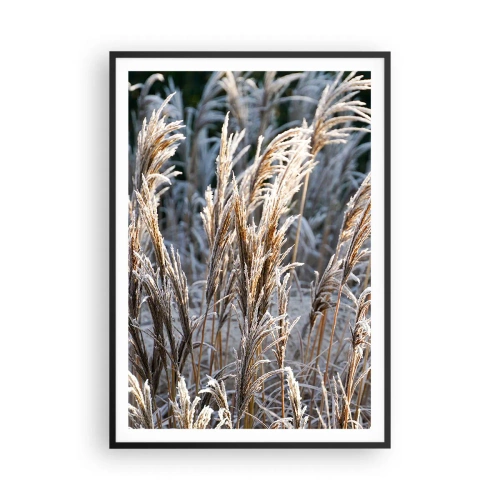 Affiche dans un cadre noir - Poster - Habillé de givre - 70x100 cm