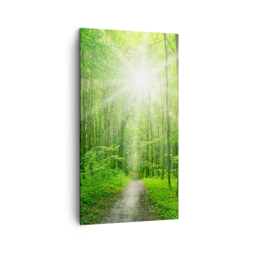 Impression sur toile - Image sur toile - Cathédrale verte - 45x80 cm