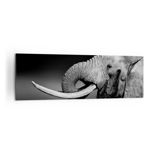 Impression sur toile - Image sur toile - Portrait noir et blanc d'un éléphant de profil - 160x50cm - Oui, c'est bon maintenant - Décoration murale moderne pour le salon et la chambre ARTTOR