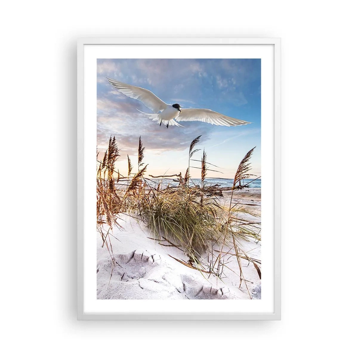 Affiche dans un cadre blanc - Poster - Vent de mer - 50x70 cm