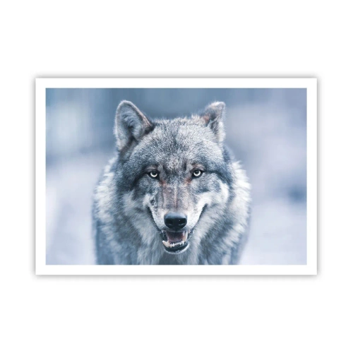 Affiche - Poster - Un loup au regard intense dans un paysage hivernal - 100x70cm - Relèverez-vous le défi ? - Décoration murale moderne pour le salon et la chambre ARTTOR