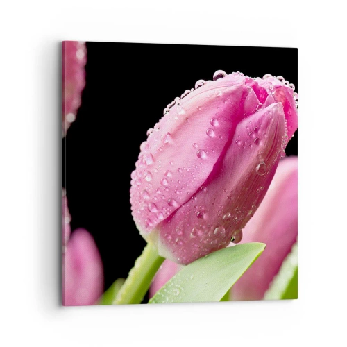 Impression sur toile - Image sur toile - Rêve de lilas dans la rosée - 70x70 cm