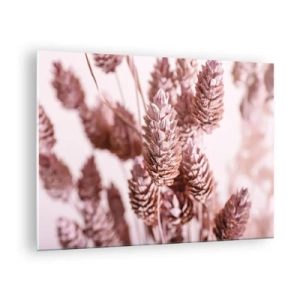 Impression sur verre - Image sur verre - Épis d'herbe séchée dans des tons rose poudré - 70x50cm - Apparemment discret - Décoration murale moderne pour le salon et la chambre ARTTOR
