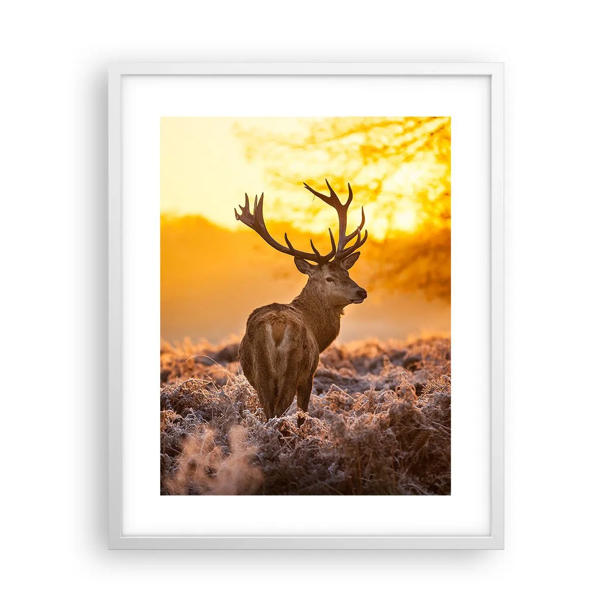 Affiche dans un cadre blanc - Poster - Roi de la forêt automnal - 40x50 cm