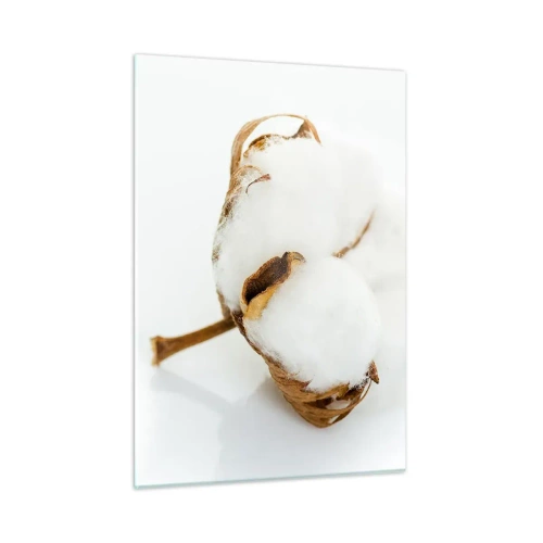 Impression sur verre - Image sur verre - Une seule fleur de coton duveteuse sur fond blanc - 50x70cm - Doux par nature - Décoration murale moderne pour le salon et la chambre ARTTOR