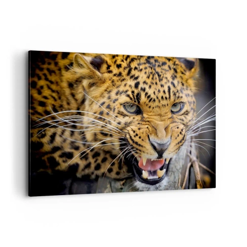 Impression sur toile - Image sur toile - Gros plan d'un léopard menaçant avec ses crocs découverts. - 100x70cm - Reste en retrait, je te préviens ! - Décoration murale moderne pour le salon et la chambre ARTTOR