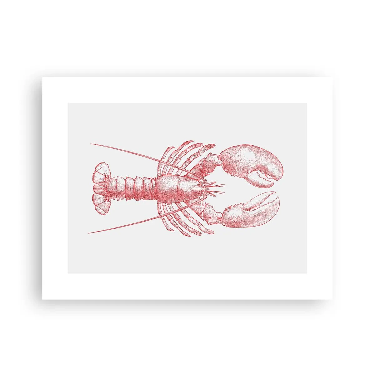 Affiche - Poster - Un homard digne d'Homère - 40x30 cm