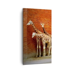 Impression sur toile - Image sur toile - Voyez-vous des acacias ? - 45x80 cm