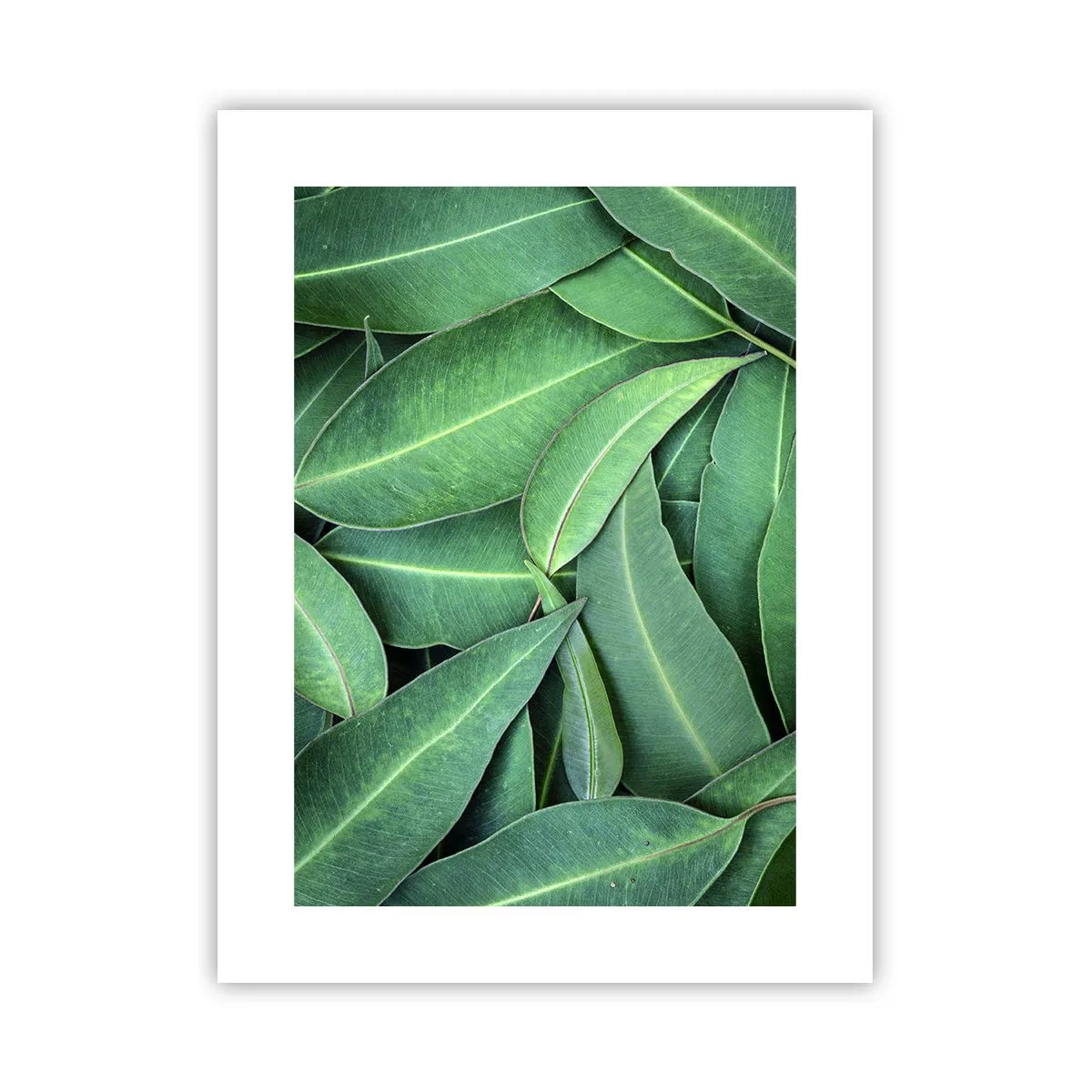 Affiche - Poster - Juteux et frais - 30x40 cm