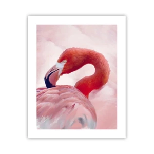 Affiche - Poster - Beauté des oiseaux - 40x50 cm