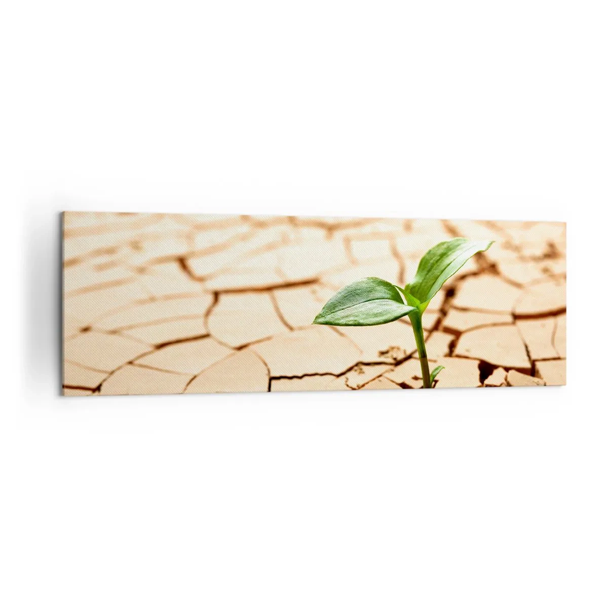 Impression sur toile - Image sur toile - Une plante verte poussant sur une terre sèche et craquelée - 160x50cm - La force indomptable de la vie - Décoration murale moderne pour le salon et la chambre ARTTOR