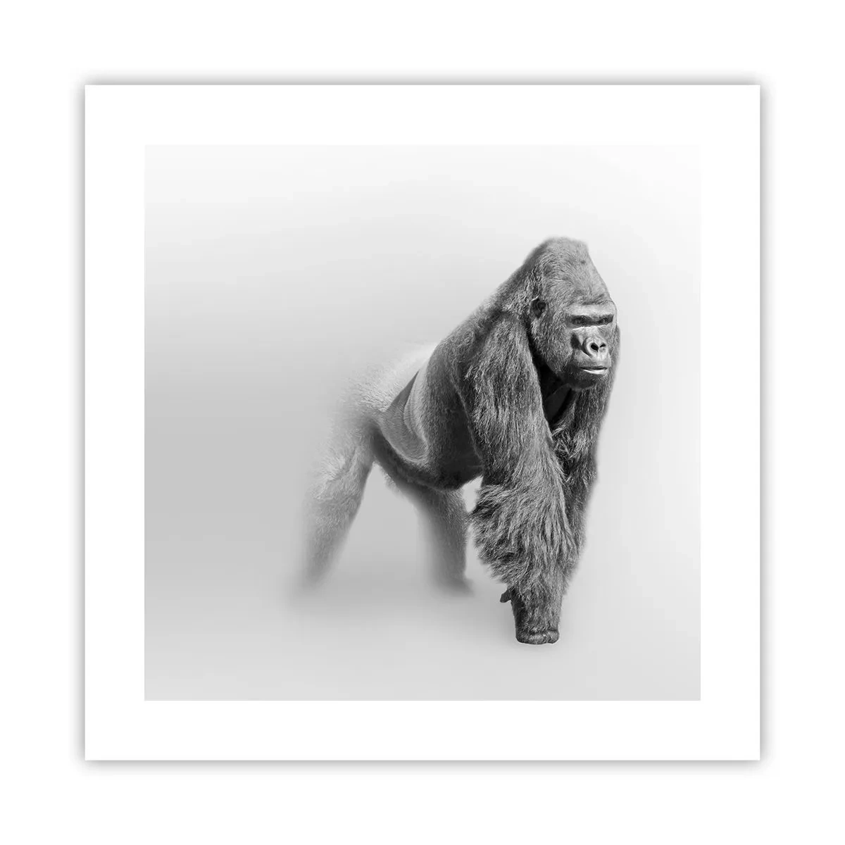 Affiche - Poster - Confiant en sa force - 40x40 cm