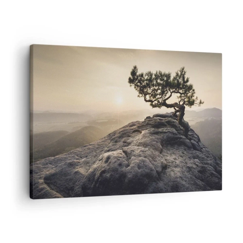 Impression sur toile - Image sur toile - Un arbre solitaire sur un pic rocheux au soleil - 70x50cm - La vie gagne toujours - Décoration murale moderne pour le salon et la chambre ARTTOR