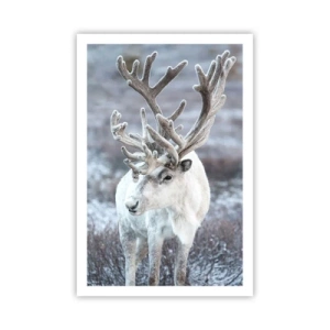 Affiche - Poster - Portrait au soleil - 61x91 cm