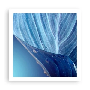 Affiche - Poster - Gouttes cachées du bleu - 60x60 cm