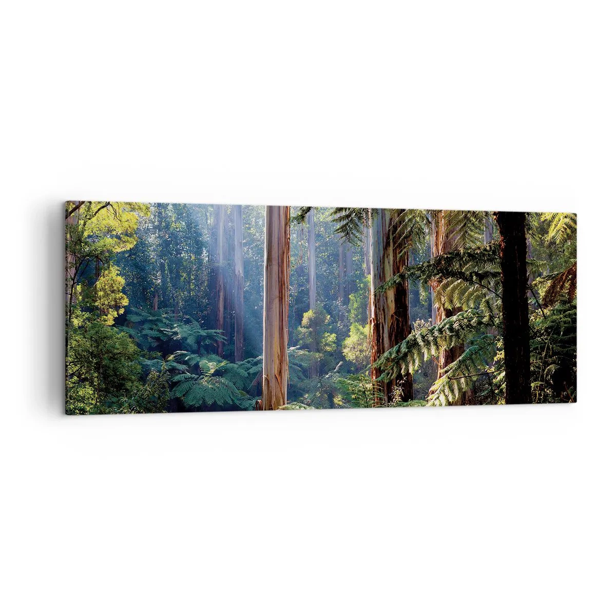 Impression sur toile - Image sur toile - Forêt tropicale illuminée par les rayons du soleil - 140x50cm - Fable de la forêt - Décoration murale moderne pour le salon et la chambre ARTTOR