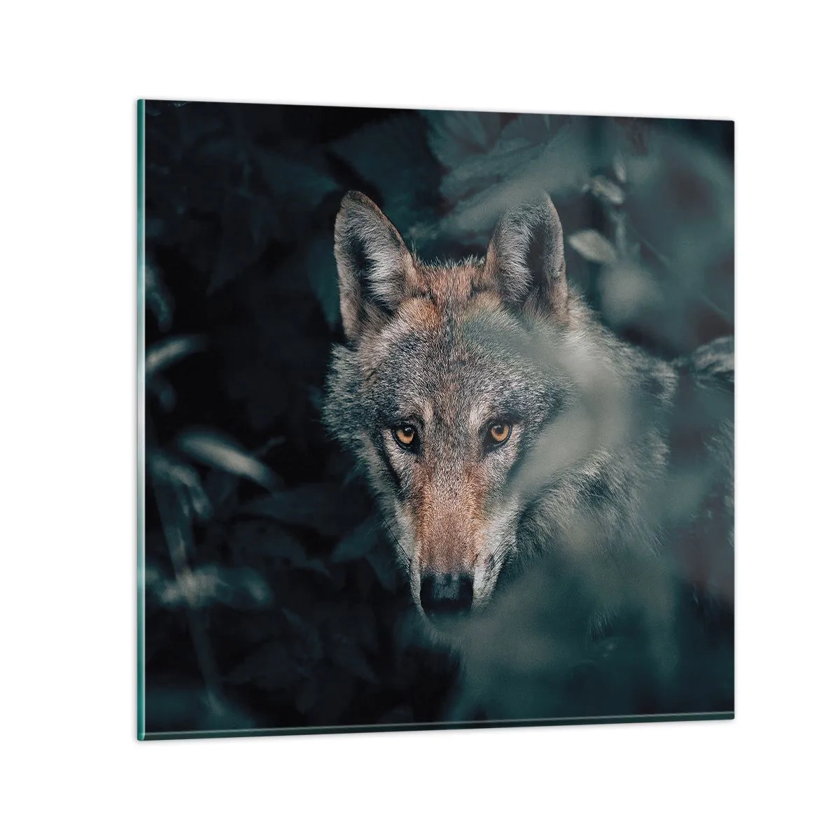 Impression sur verre - Image sur verre - Chasseur - 70x70 cm