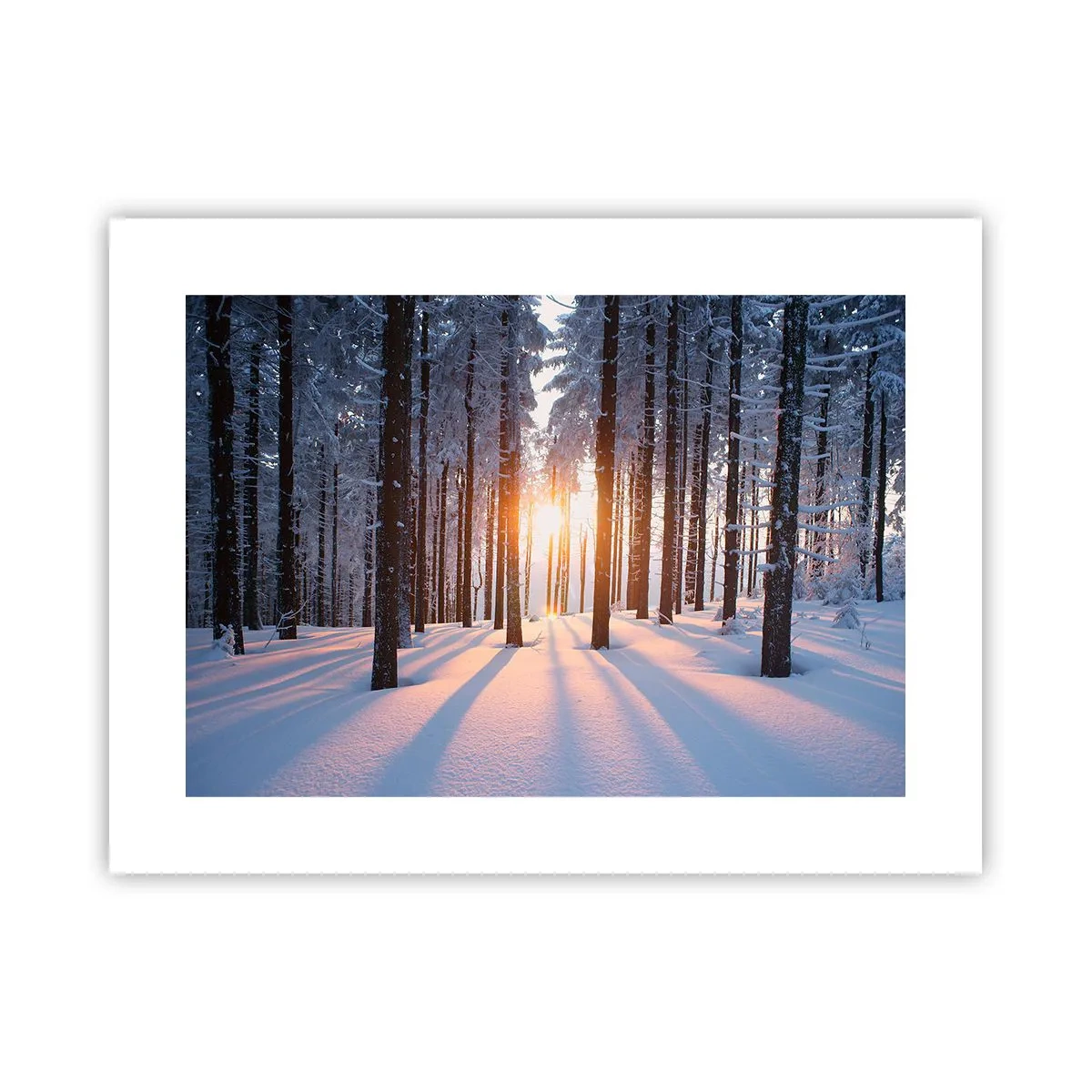 Affiche - Poster - Clairement en noir et blanc - 40x30 cm