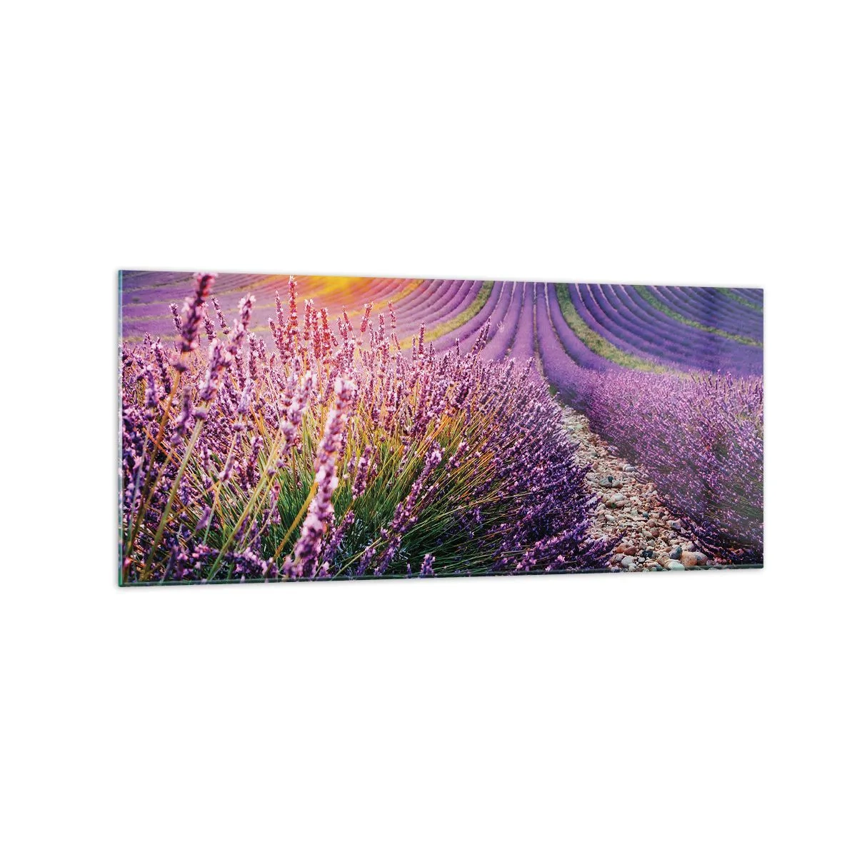 Impression sur verre - Image sur verre - Champ de lavande au coucher du soleil - 120x50cm - Tige parfumée - Décoration murale moderne pour le salon et la chambre ARTTOR