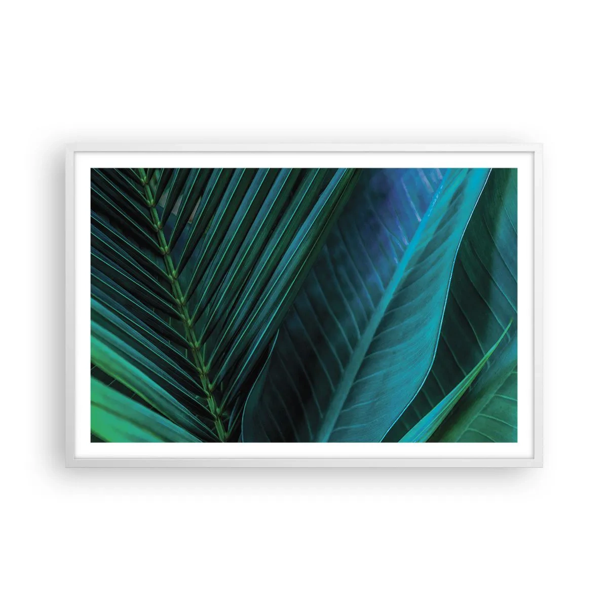 Affiche dans un cadre blanc - Poster - L'anatomie du vert - 91x61 cm