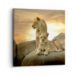 Impression sur toile - Image sur toile - Majesté royale - 30x30 cm