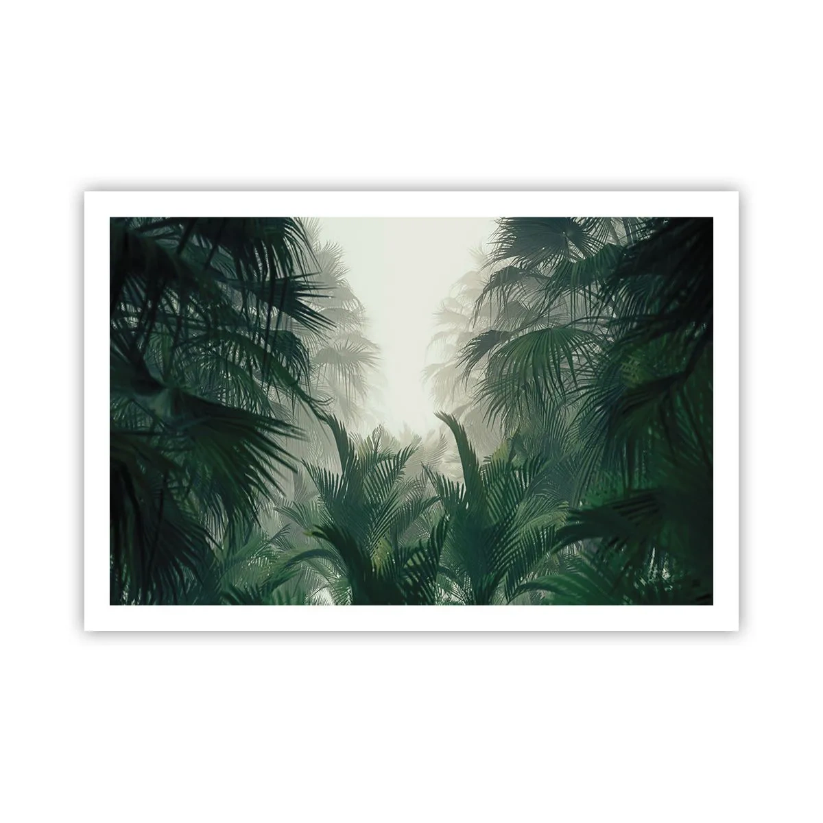 Affiche - Poster - Secret tropical - 91x61 cm