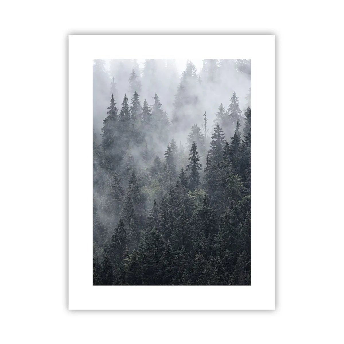 Affiche - Poster - Aube de la forêt - 30x40 cm