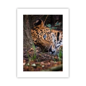 Affiche - Poster - Fais-moi confiance - 30x40 cm