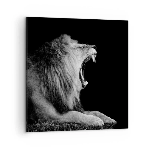 Impression sur toile - Image sur toile - Sans aucun doute - 50x50 cm