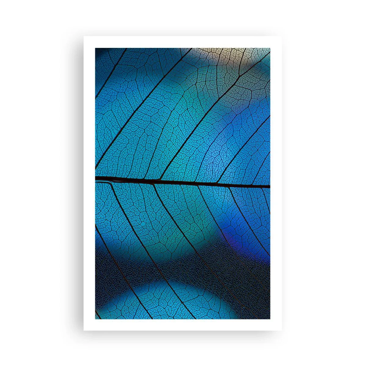 Affiche - Poster - Construction complexe - 61x91 cm