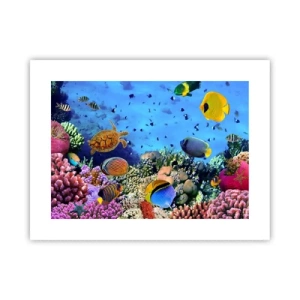 Affiche - Poster - Et que sait-on de la vie… - 40x30 cm