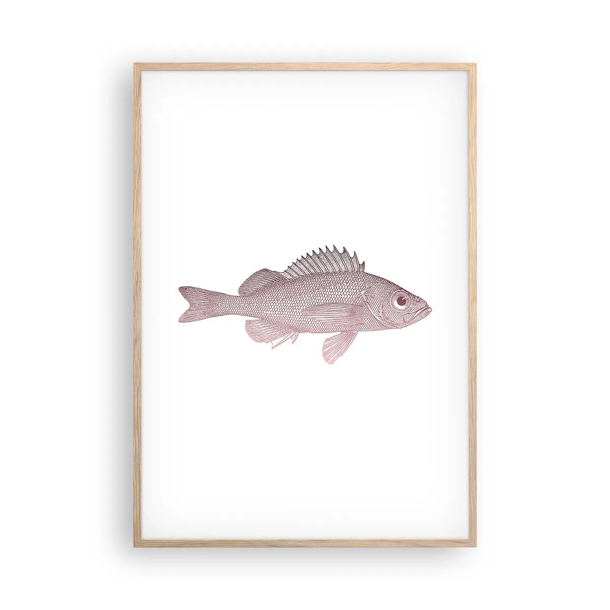 Affiche dans un chêne clair - Poster - Poisson aux grands yeux - 70x100 cm