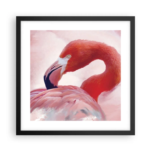 Affiche dans un cadre noir - Poster - Beauté des oiseaux - 40x40 cm