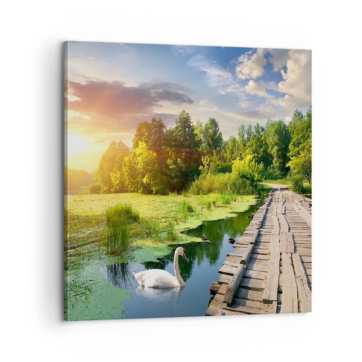 Impression sur toile - Image sur toile - L'été, l'été partout - 60x60 cm