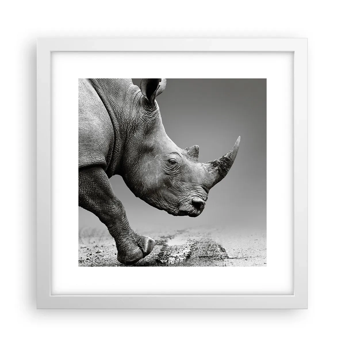 Affiche dans un cadre blanc - Poster - Force inarrêtable - 30x30 cm