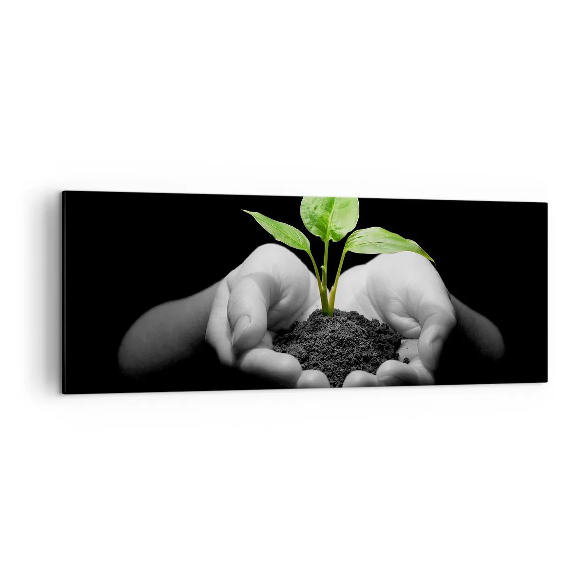 Impression sur toile - Image sur toile - Mains tenant une plante verte sur fond noir - 140x50cm - J'aime la nature, je la protège - Décoration murale moderne pour le salon et la chambre ARTTOR