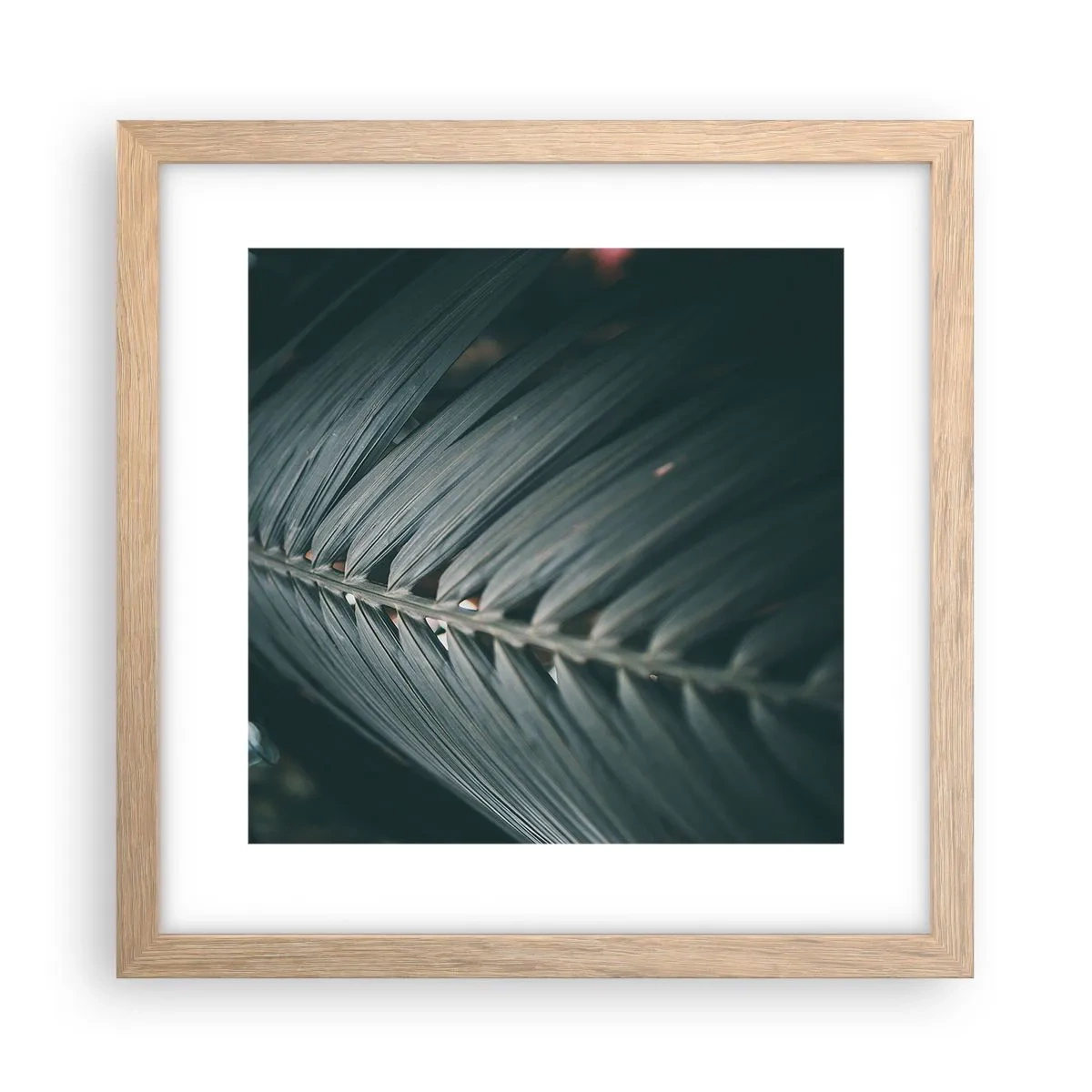 Affiche dans un chêne clair - Poster - Précision de la nature - 30x30 cm