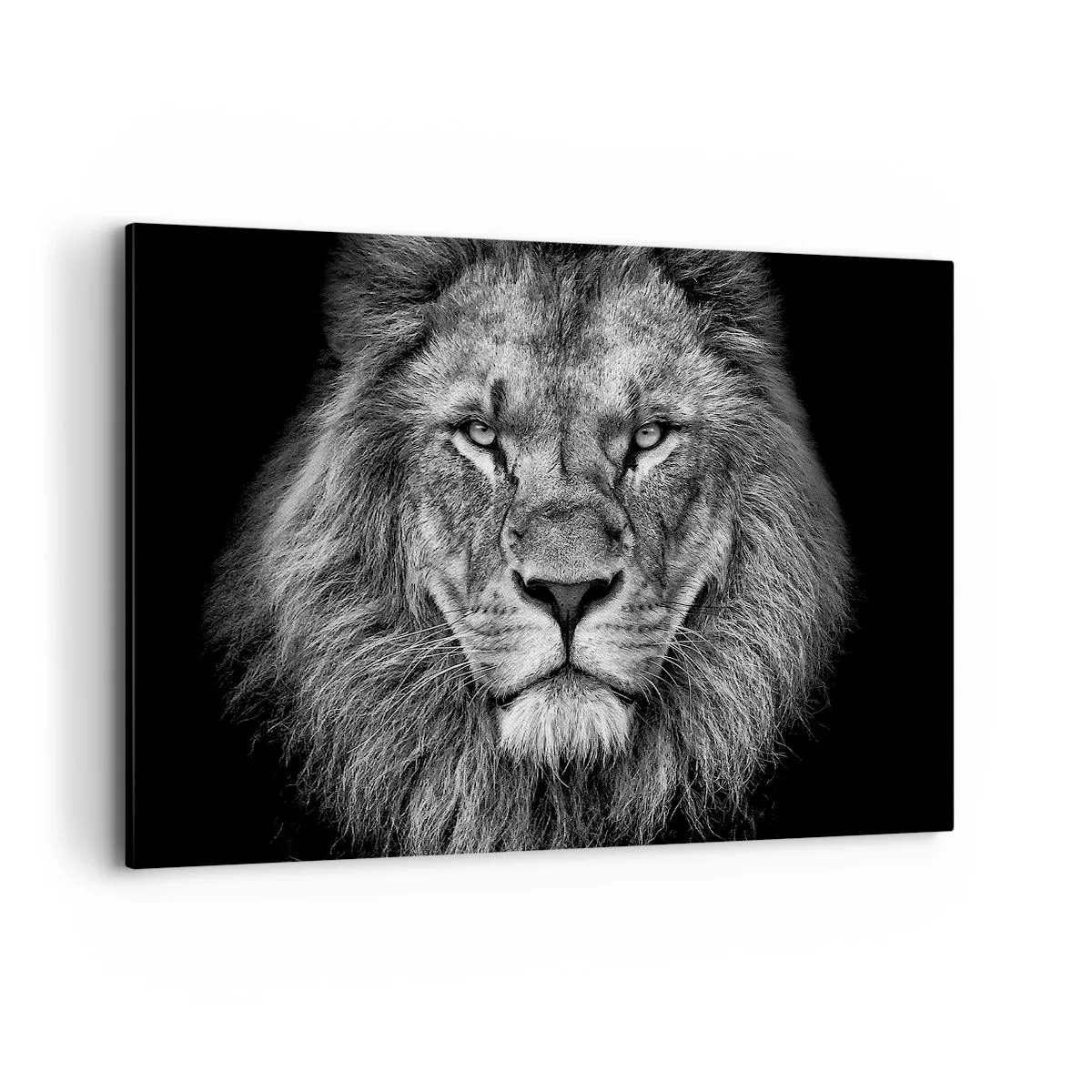 Impression sur toile - Image sur toile - Portrait d'un lion majestueux en noir et blanc - 120x80cm - En vêtement de sacre - Décoration murale moderne pour le salon et la chambre ARTTOR