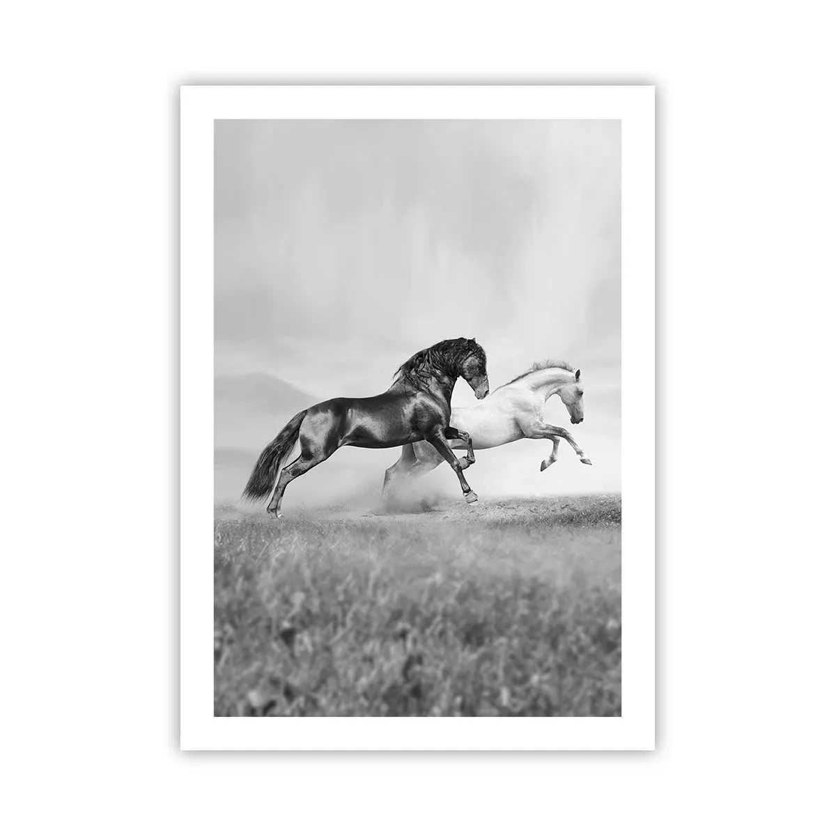 Affiche - Poster - Chevaux noirs et blancs galopant de manière dynamique sur un fond de champ - 50x70cm - Anges et démons - Décoration murale moderne pour le salon et la chambre ARTTOR
