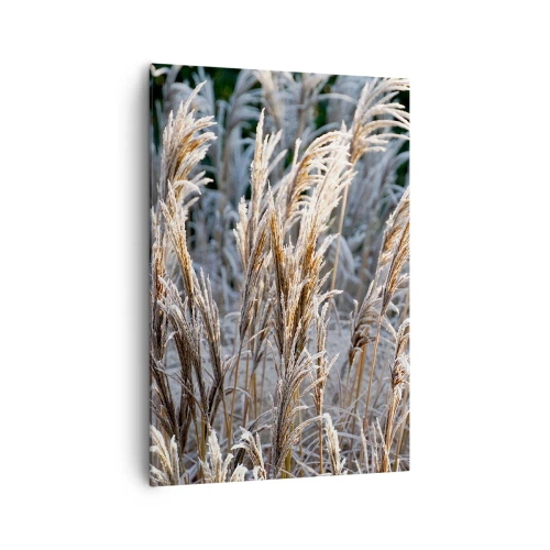 Impression sur toile - Image sur toile - Brins d'herbe d'hiver recouverts de givre sur un fond vert foncé - 70x100cm - Habillé de givre - Décoration murale moderne pour le salon et la chambre ARTTOR