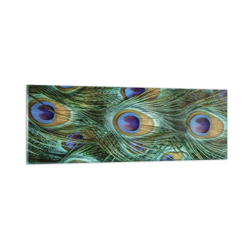 Impression sur verre - Image sur verre - Un regard de paon - 90x30 cm